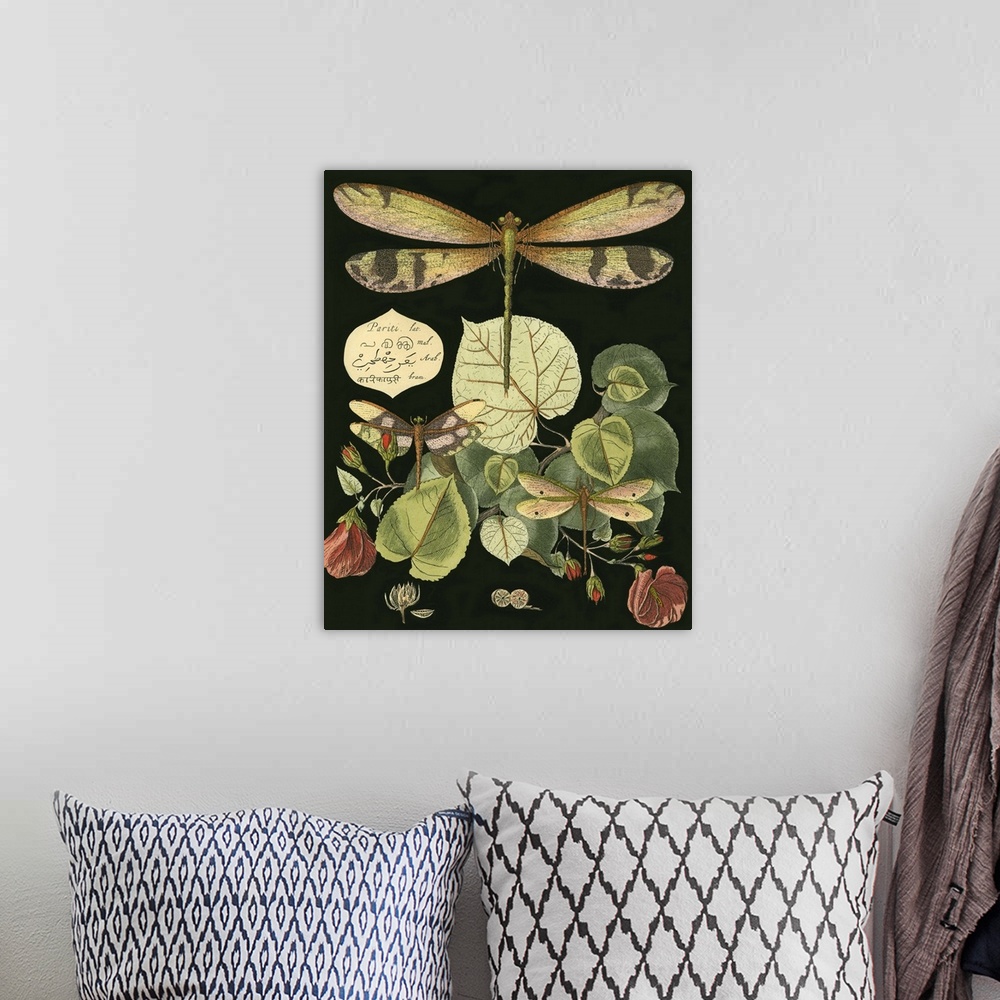 A bohemian room featuring Vintage illustrative stylized dragonfly and various botanical's against a black background.