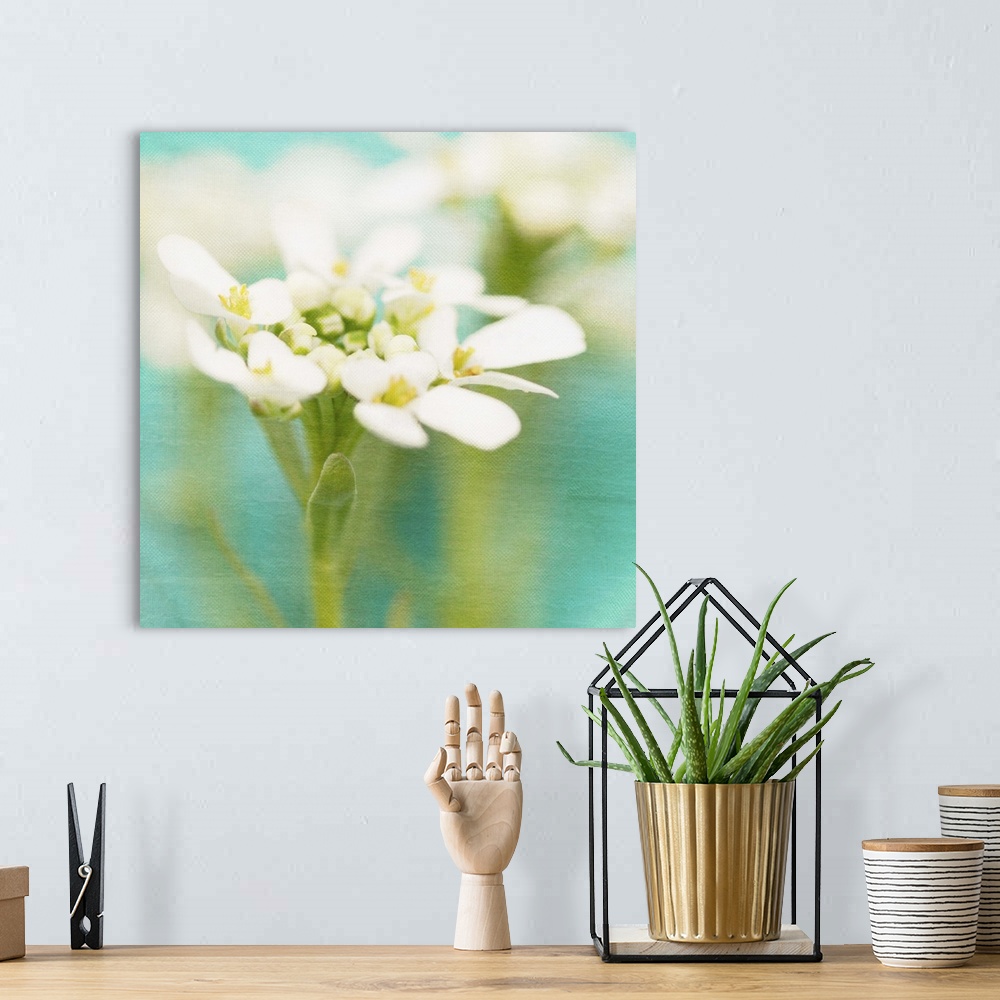 A bohemian room featuring White Flowers I