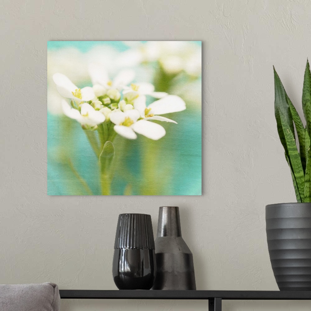 A modern room featuring White Flowers I