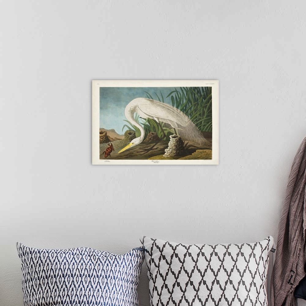 A bohemian room featuring White Heron