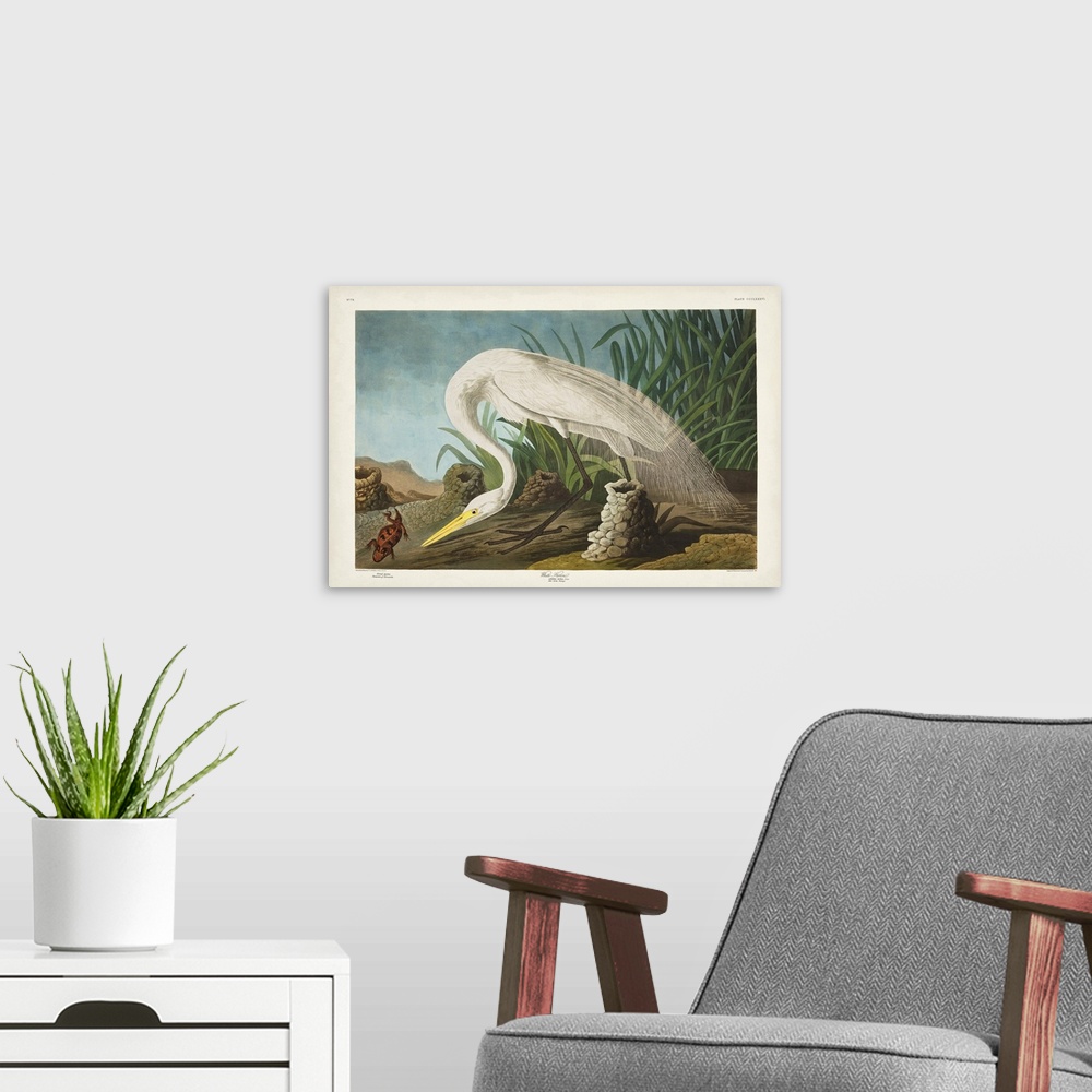 A modern room featuring White Heron