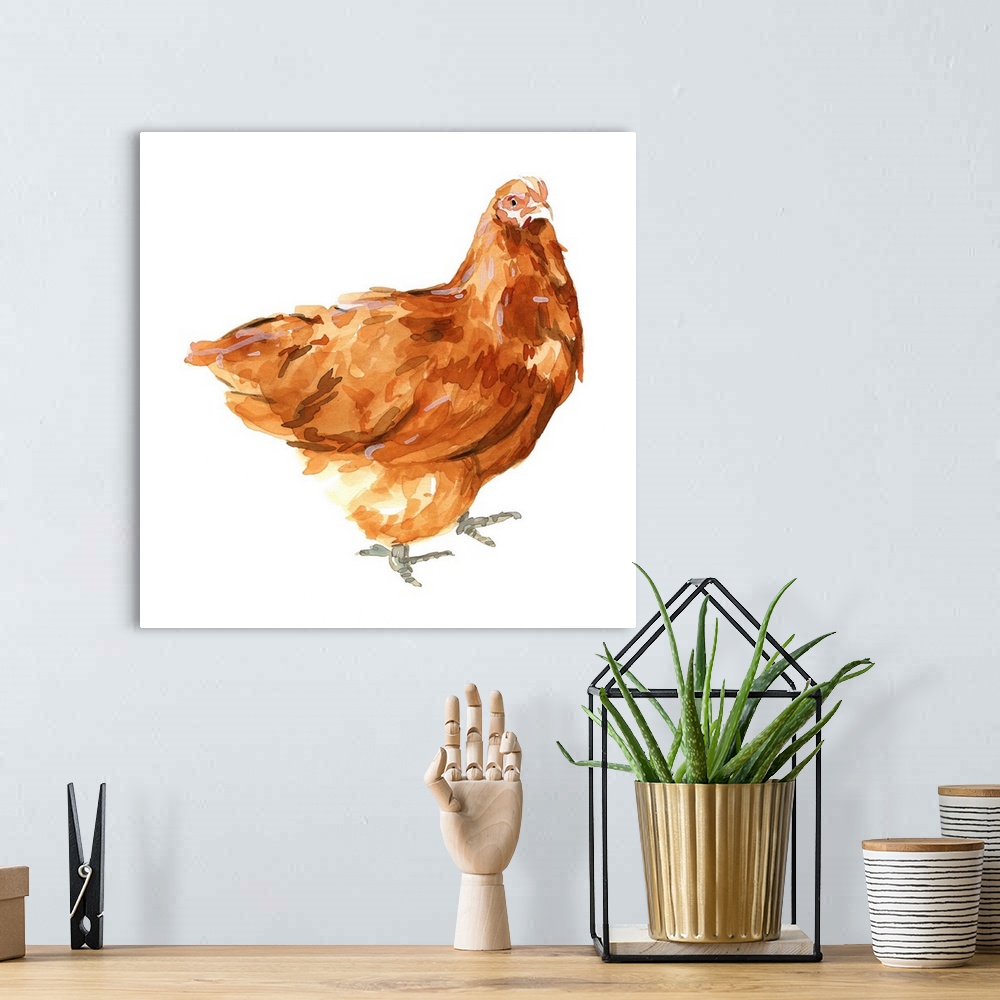 A bohemian room featuring Wild Chicken I