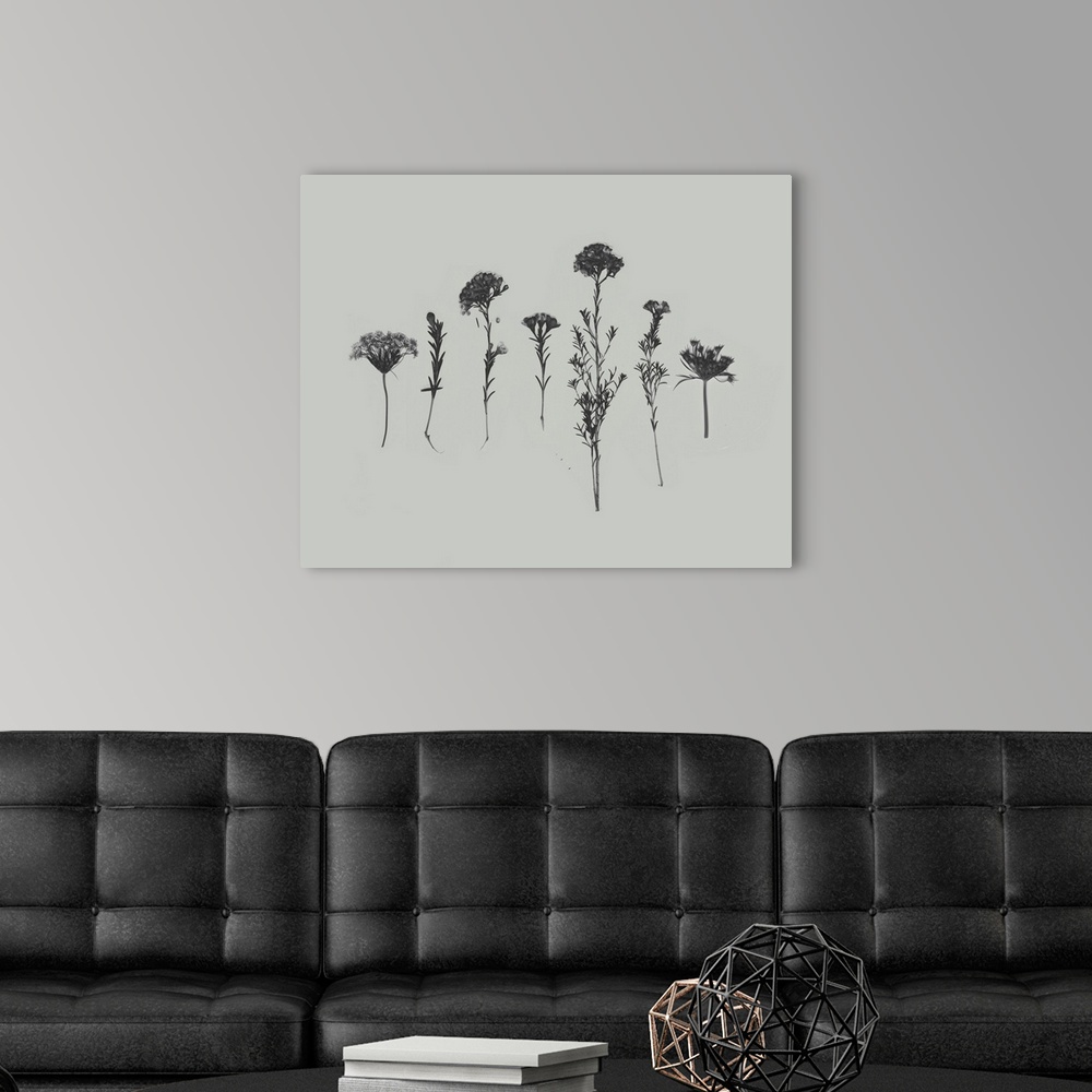 A modern room featuring Wildflower Memory II