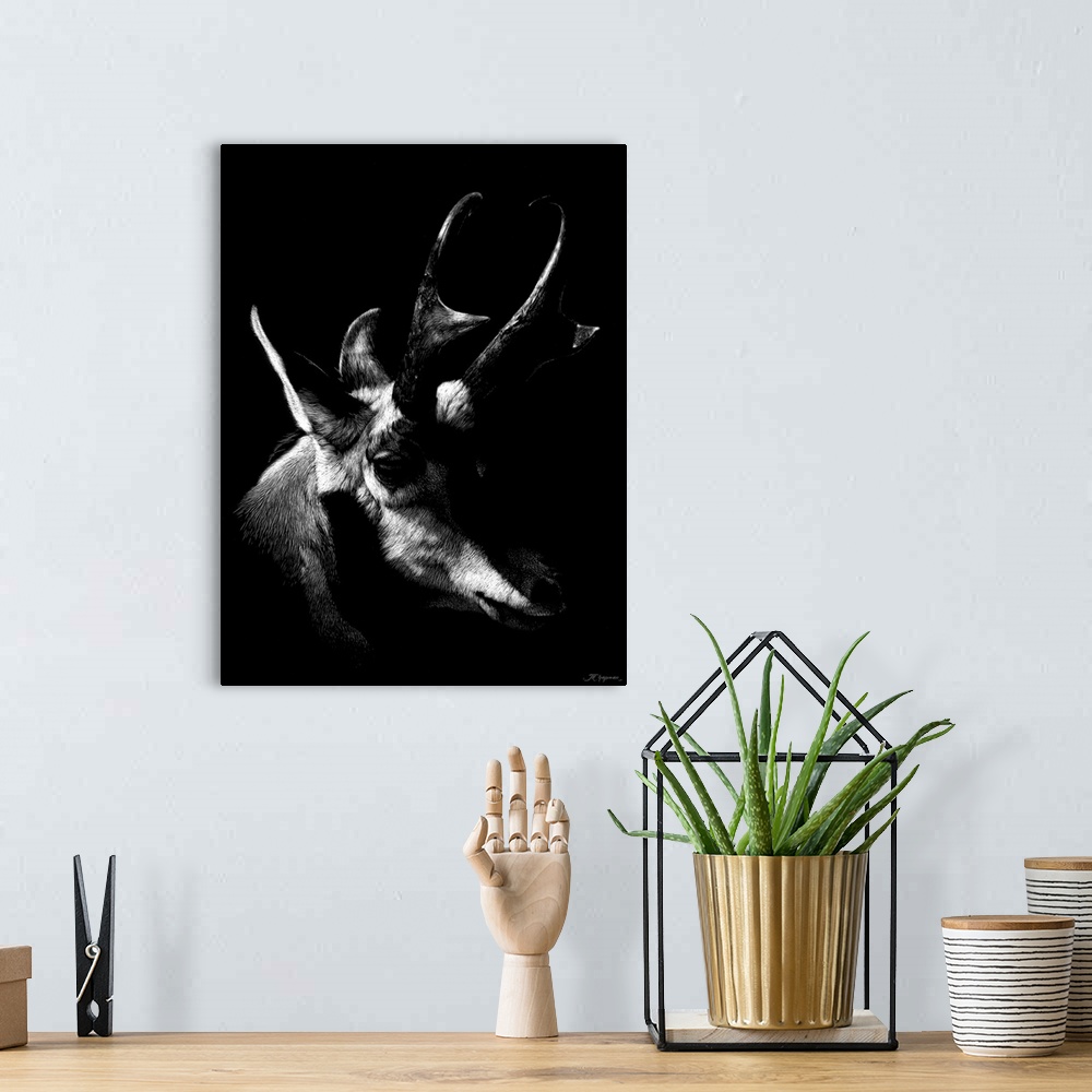 A bohemian room featuring Wildlife Scratchboards II