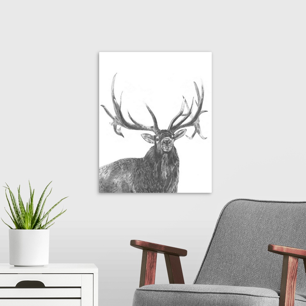 A modern room featuring Graphite portrait of an elk.