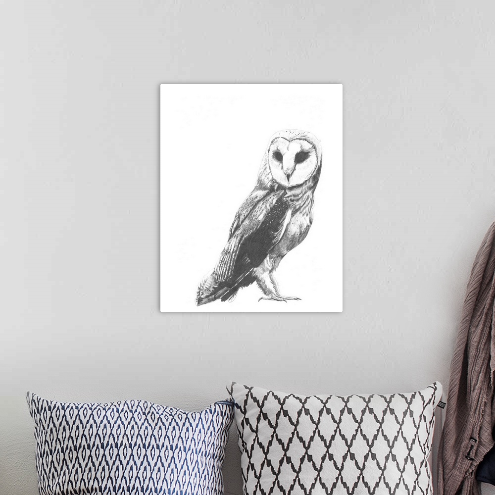 A bohemian room featuring Contemporary illustration of a barn owl against a white background.