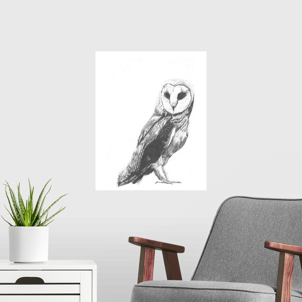 A modern room featuring Contemporary illustration of a barn owl against a white background.