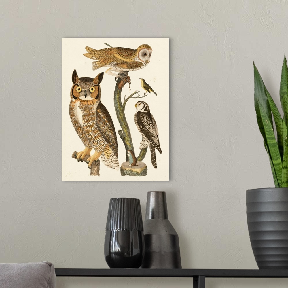 A modern room featuring Wilson Owls I