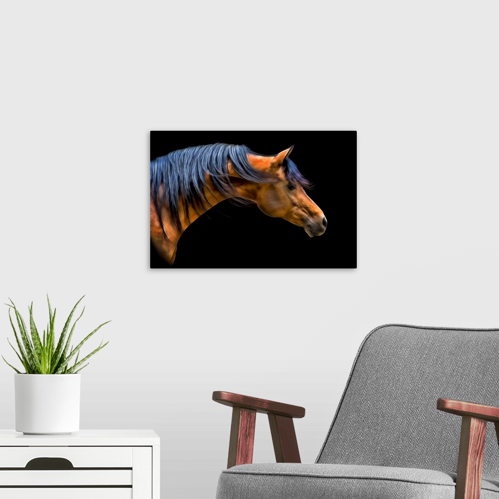 A modern room featuring Fine art photo of the head and neck of a horse, with mane blowing in the wind.