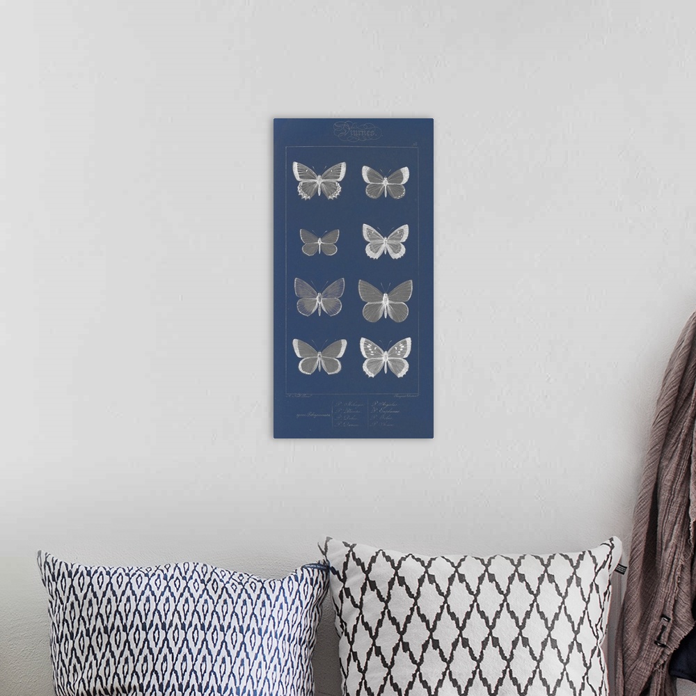 A bohemian room featuring Decorative artwork featuring black and white illustrated butterflies on a dark blur background.