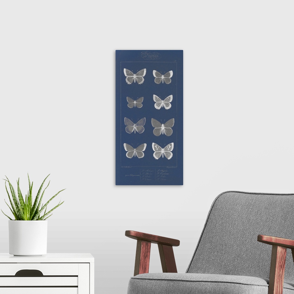 A modern room featuring Decorative artwork featuring black and white illustrated butterflies on a dark blur background.