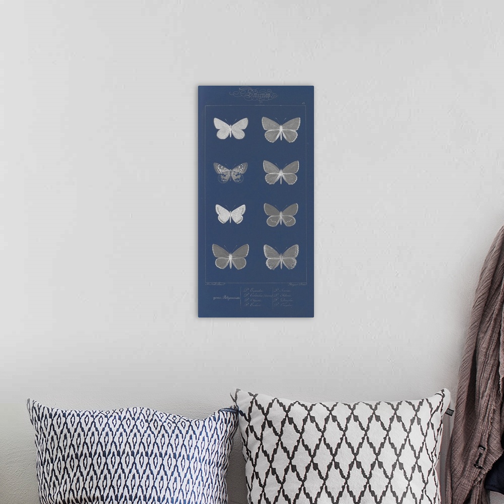 A bohemian room featuring Decorative artwork featuring black and white illustrated butterflies on a dark blur background.