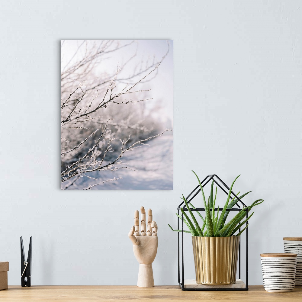 A bohemian room featuring Winter Branches II