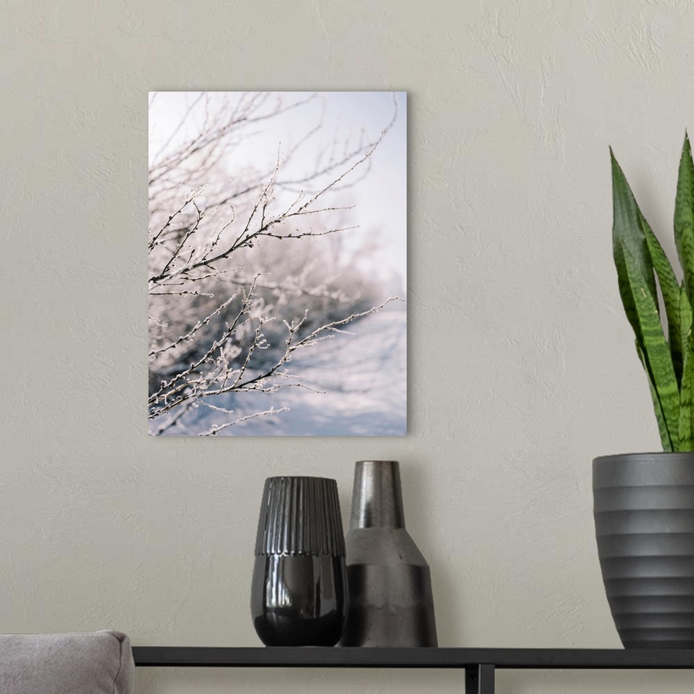 A modern room featuring Winter Branches II