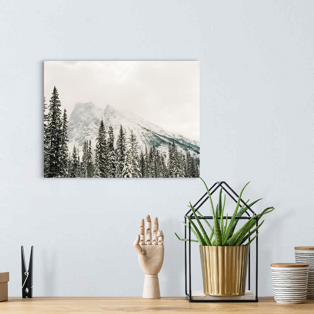 A bohemian room featuring Photograph of snow frosted trees in front of a large mountain, Lake Louise, Canada