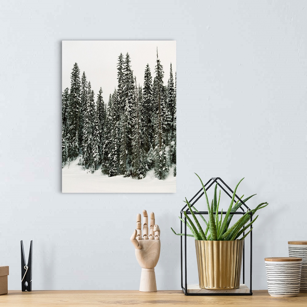 A bohemian room featuring Winter Trees I