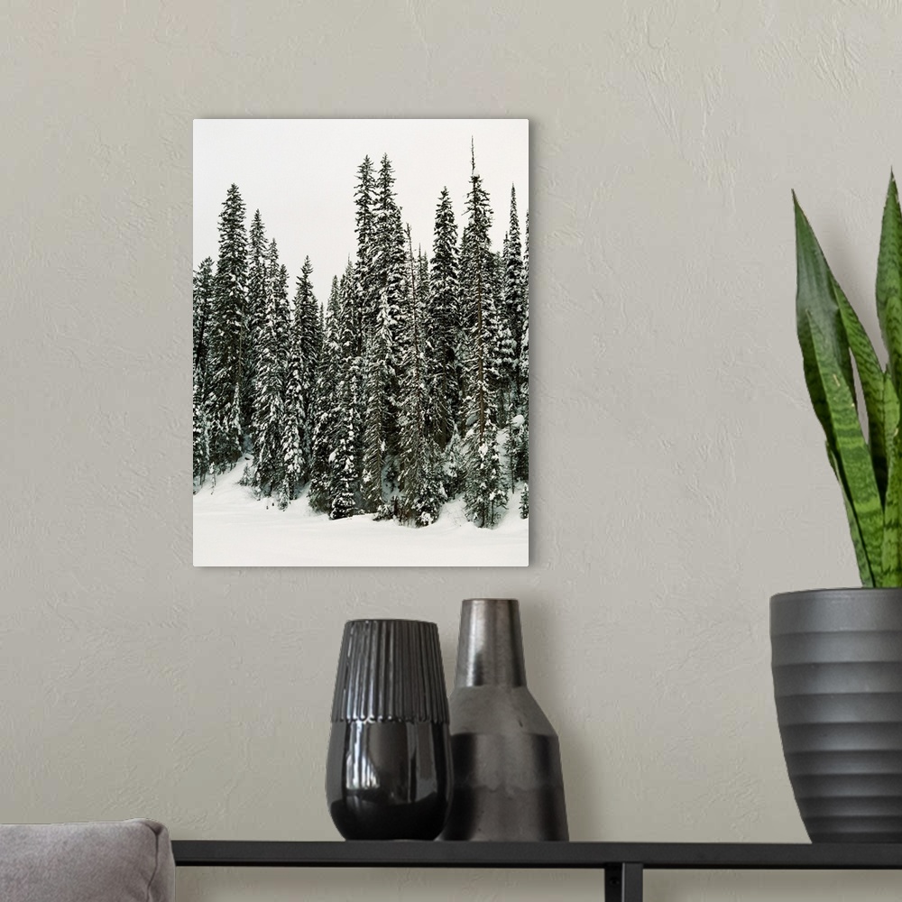 A modern room featuring Winter Trees I