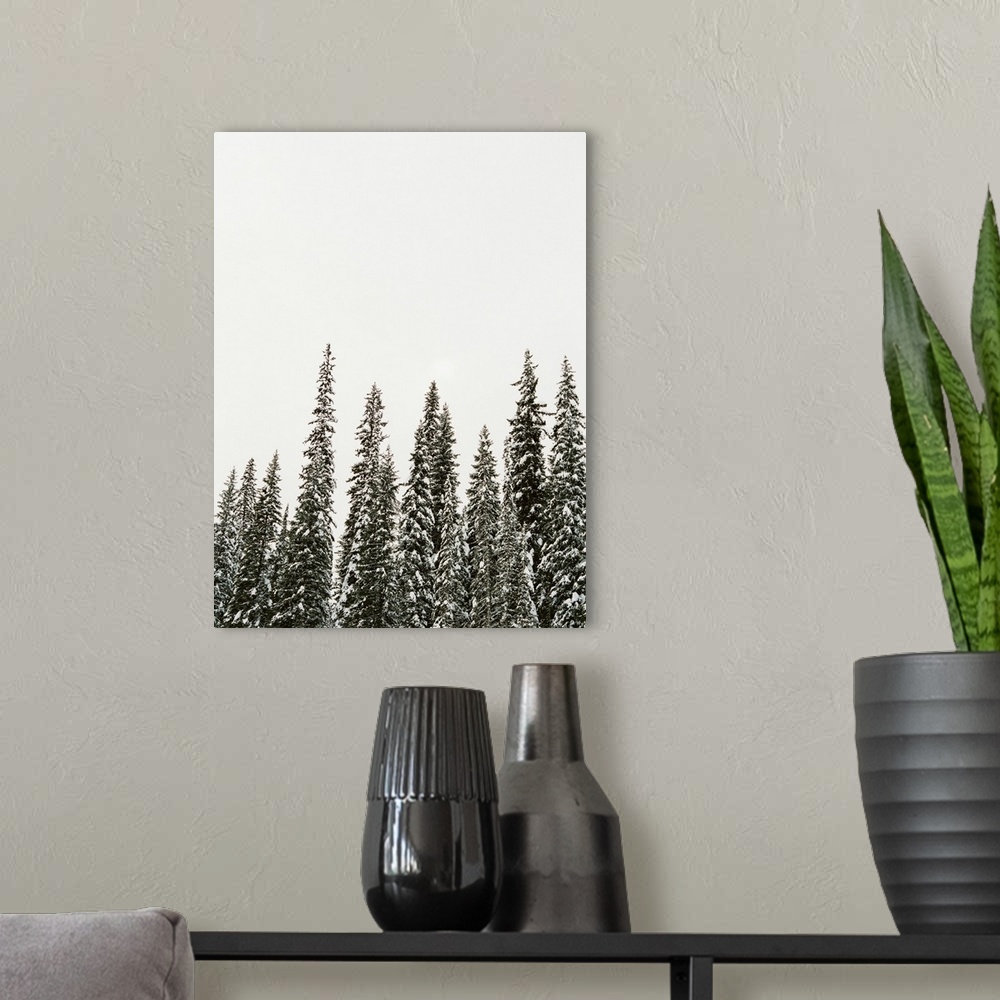 A modern room featuring Winter Trees II