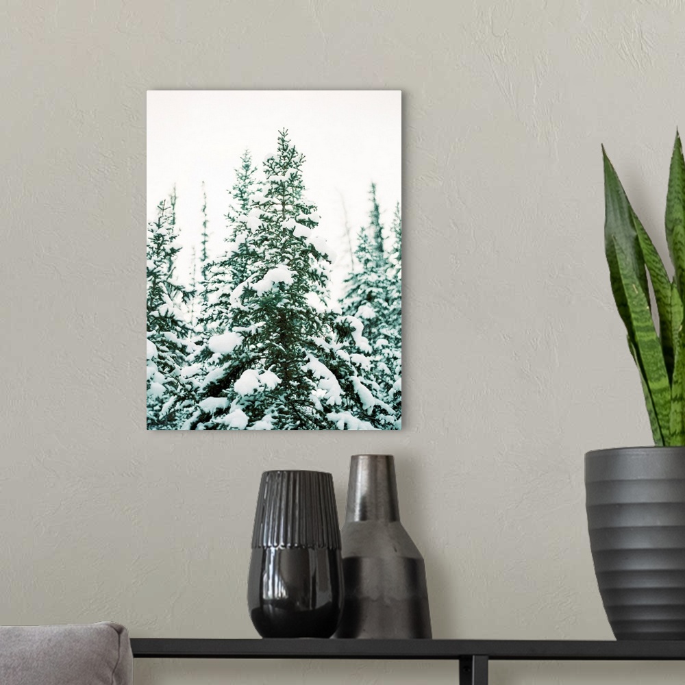 A modern room featuring Winter Trees III