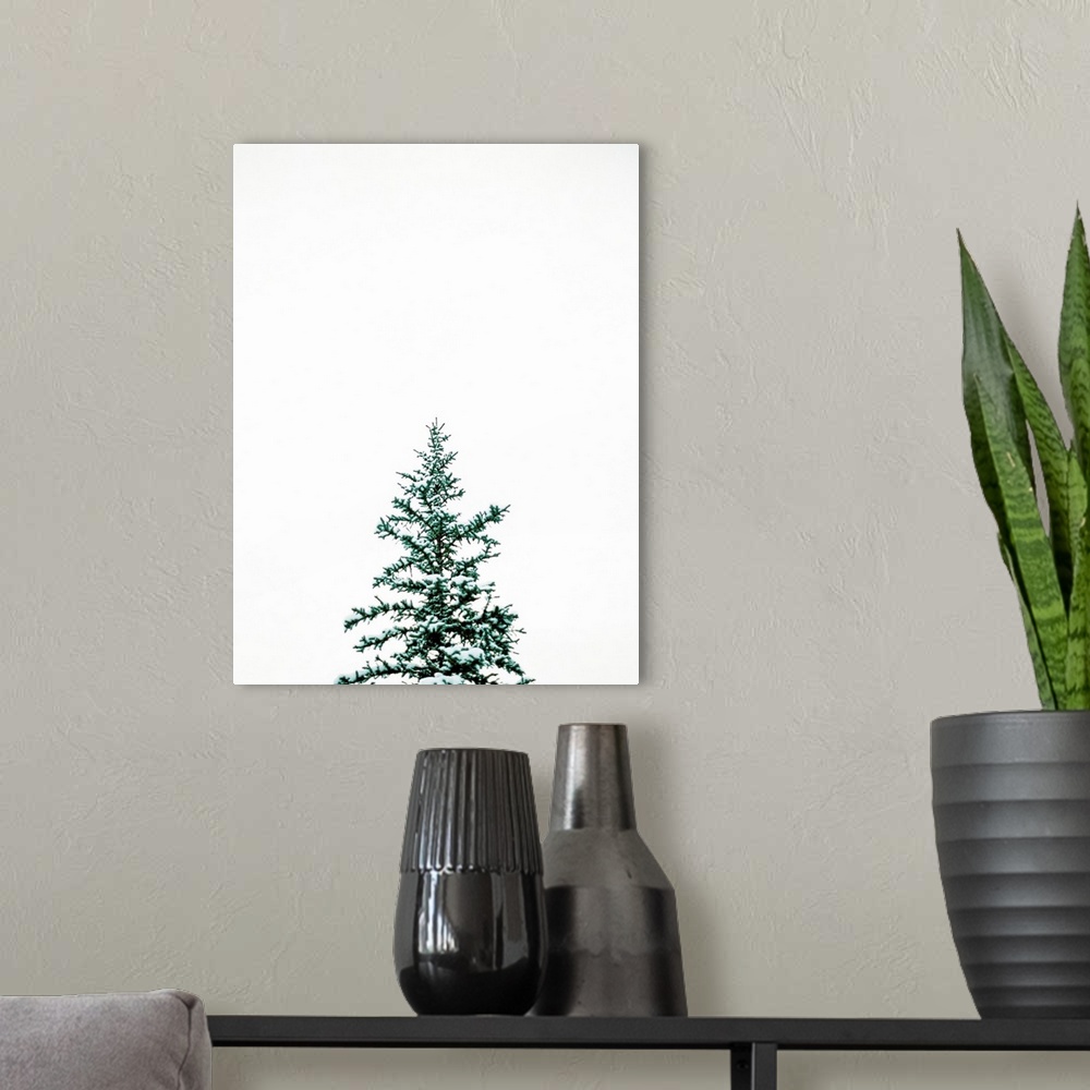 A modern room featuring Winter Trees V