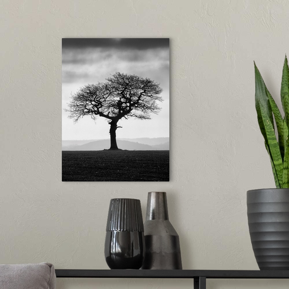 A modern room featuring A black and white photograph of a lone tree standing in a field with a fog covered landscape behi...
