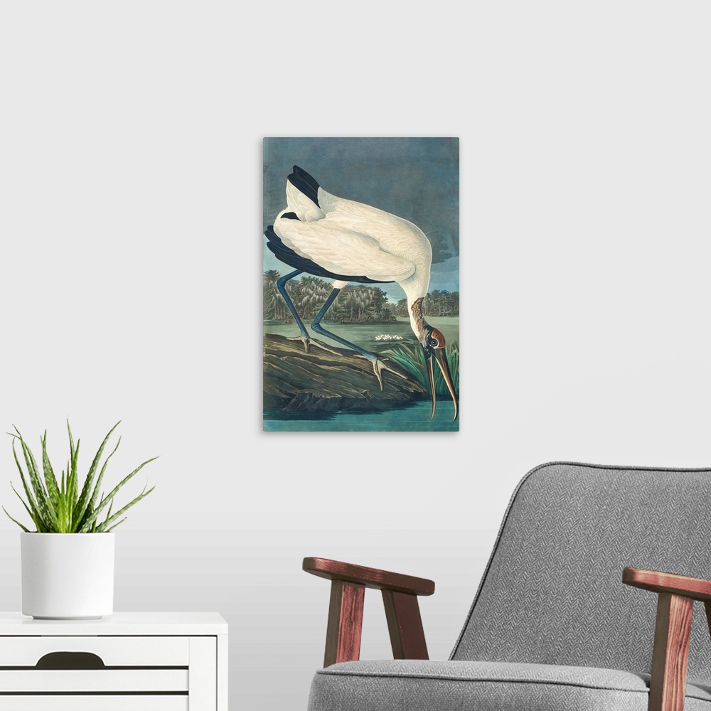 A modern room featuring Wood Ibis