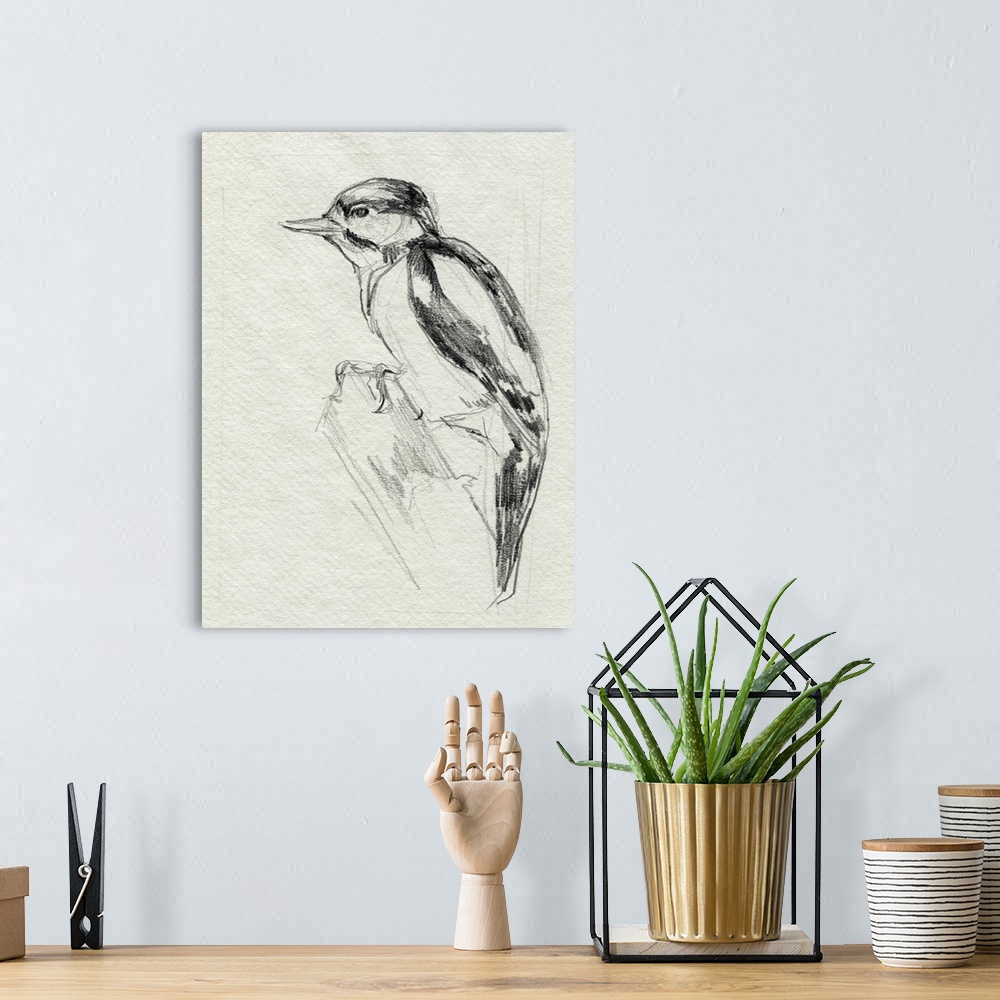 A bohemian room featuring Woodpecker Sketch I