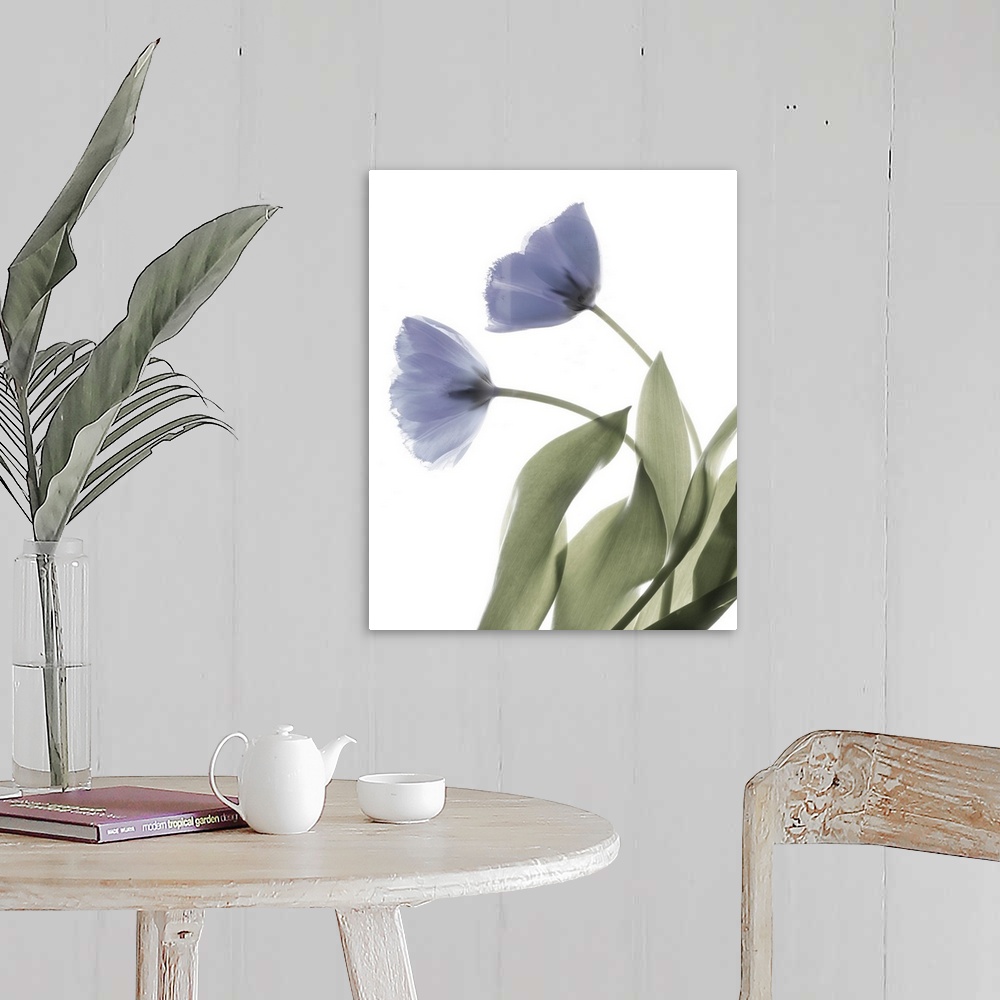 A farmhouse room featuring X-ray photograph of a purple tulip on a white background.