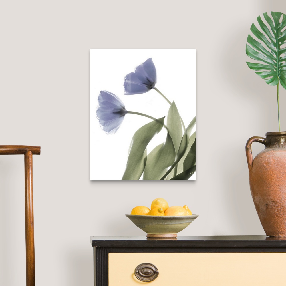 A traditional room featuring X-ray photograph of a purple tulip on a white background.