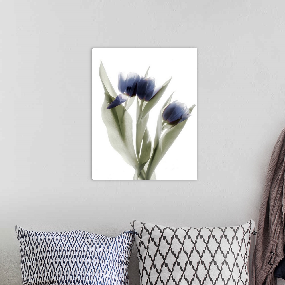 A bohemian room featuring X-ray photograph of a pink and purple tulip on a white background.