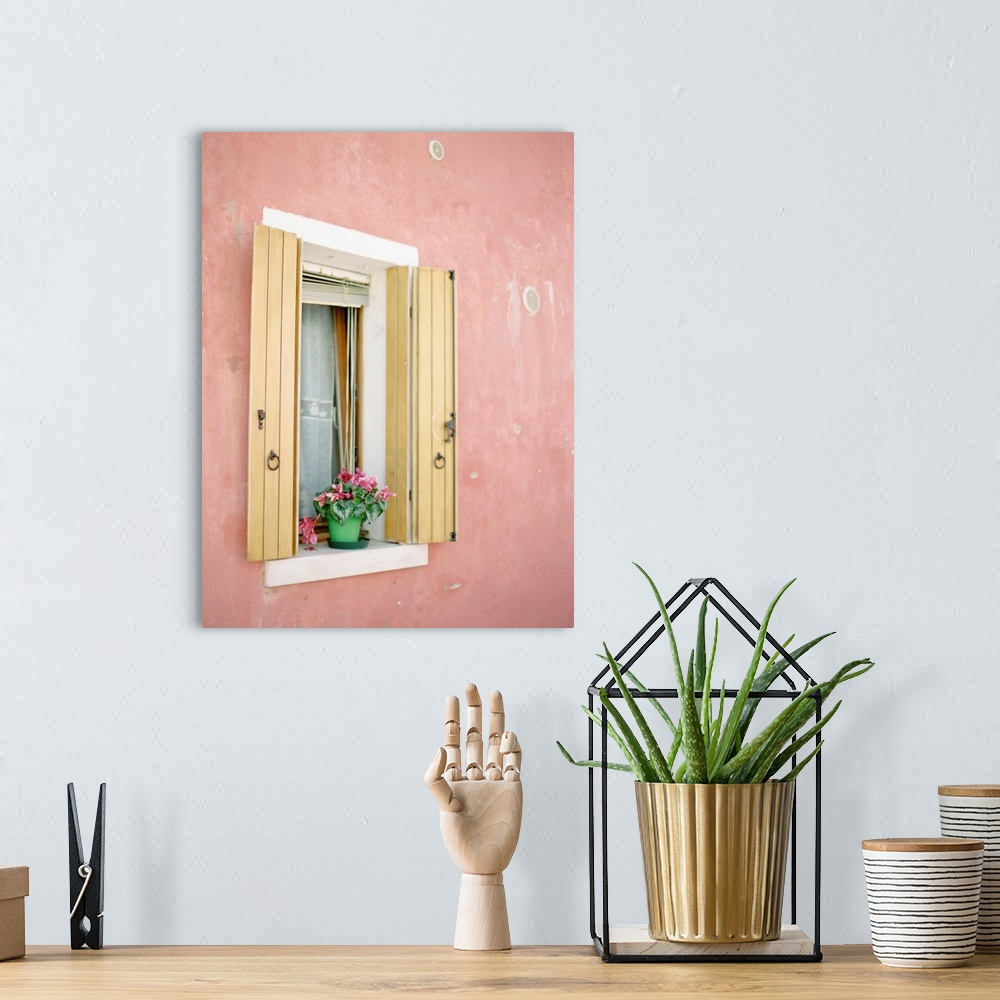 A bohemian room featuring Photograph of a small flowering plant on a windowsill, flanked by yellow shutters, Burano, Italy.
