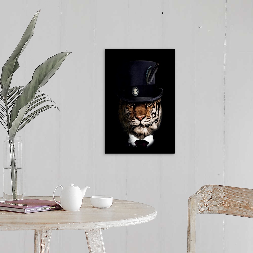 A farmhouse room featuring Classy Tiger