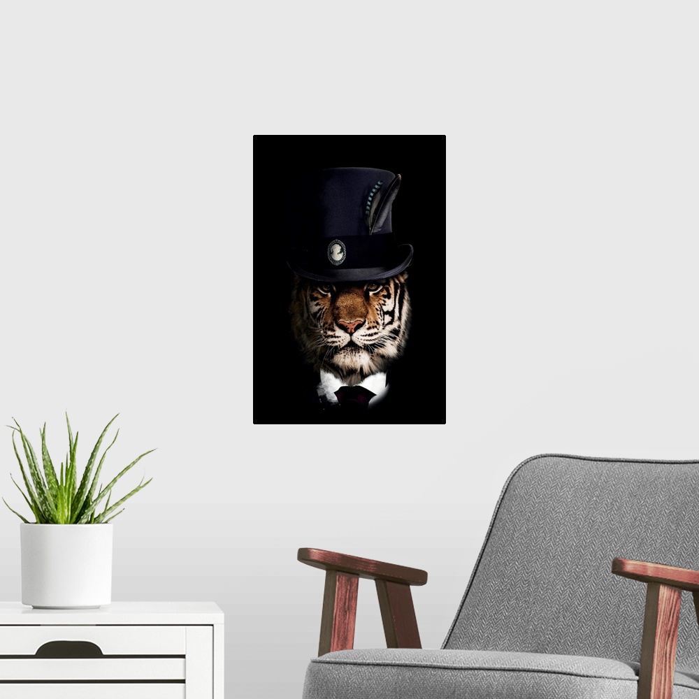 A modern room featuring Classy Tiger