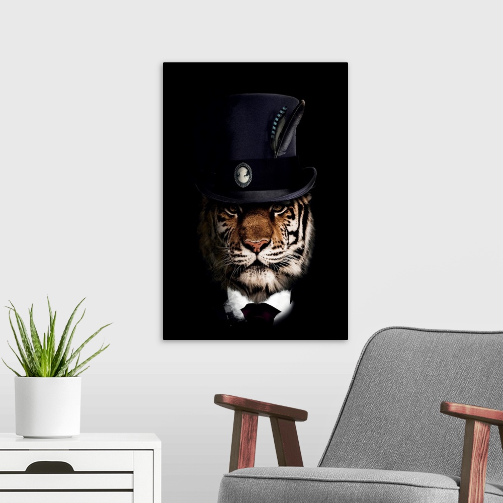 A modern room featuring Classy Tiger