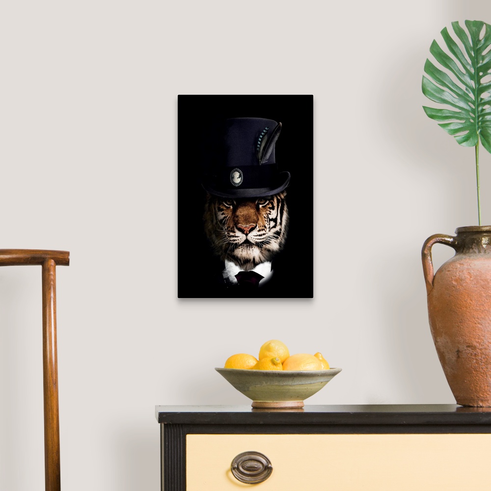 A traditional room featuring Classy Tiger