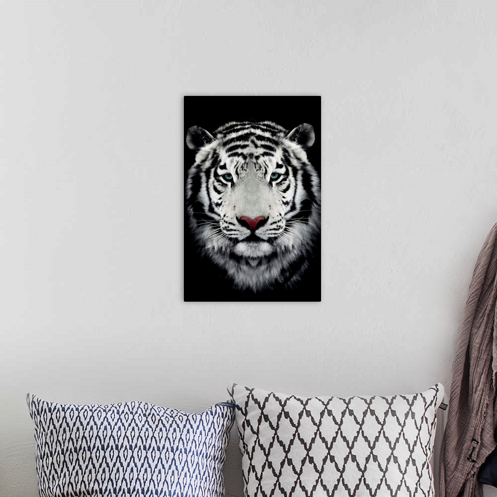 A bohemian room featuring Dark Bengal Tiger