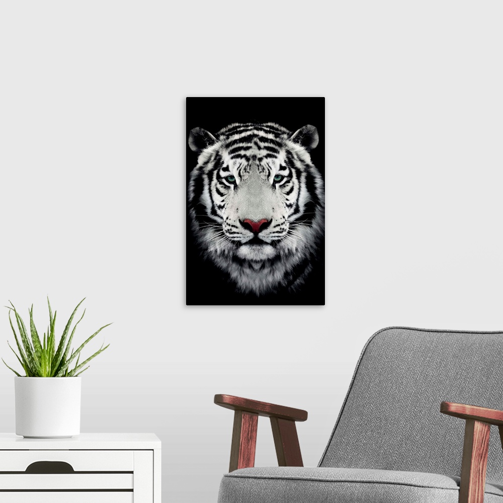 A modern room featuring Dark Bengal Tiger