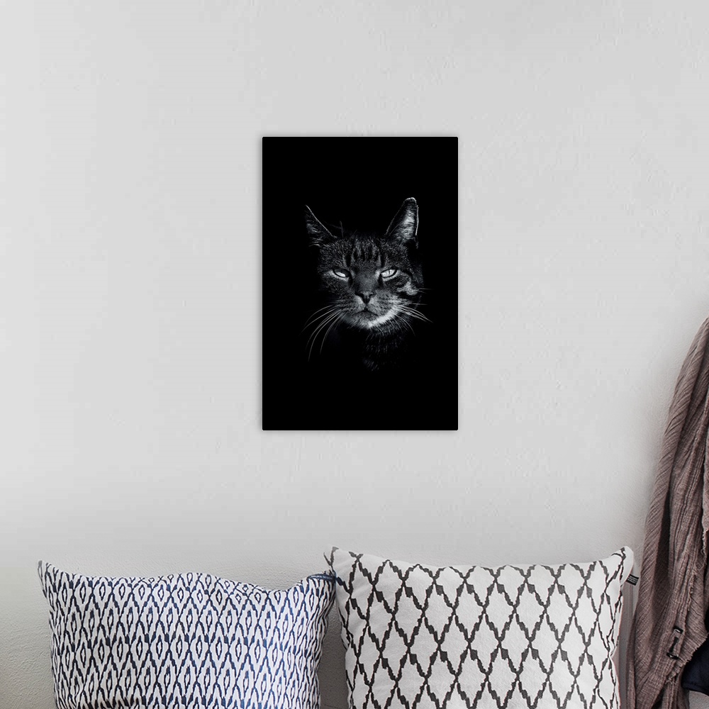 A bohemian room featuring Dark Cat