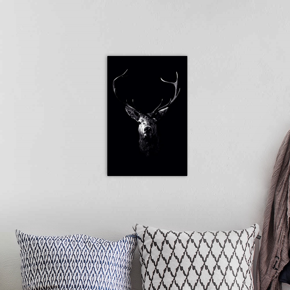 A bohemian room featuring Dark Deer