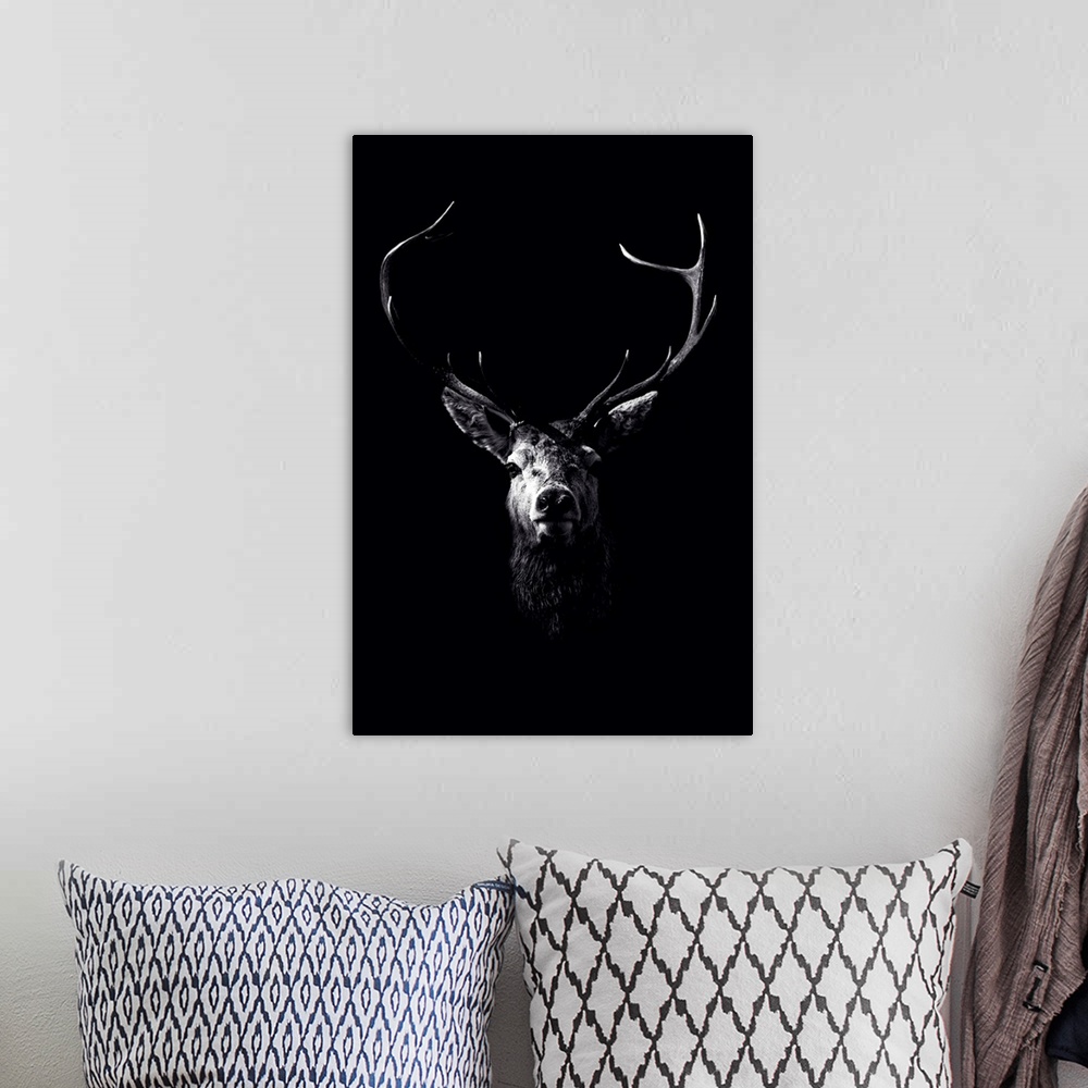 A bohemian room featuring Dark Deer