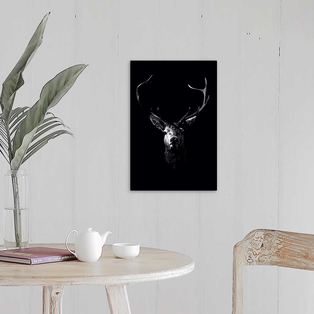A farmhouse room featuring Dark Deer