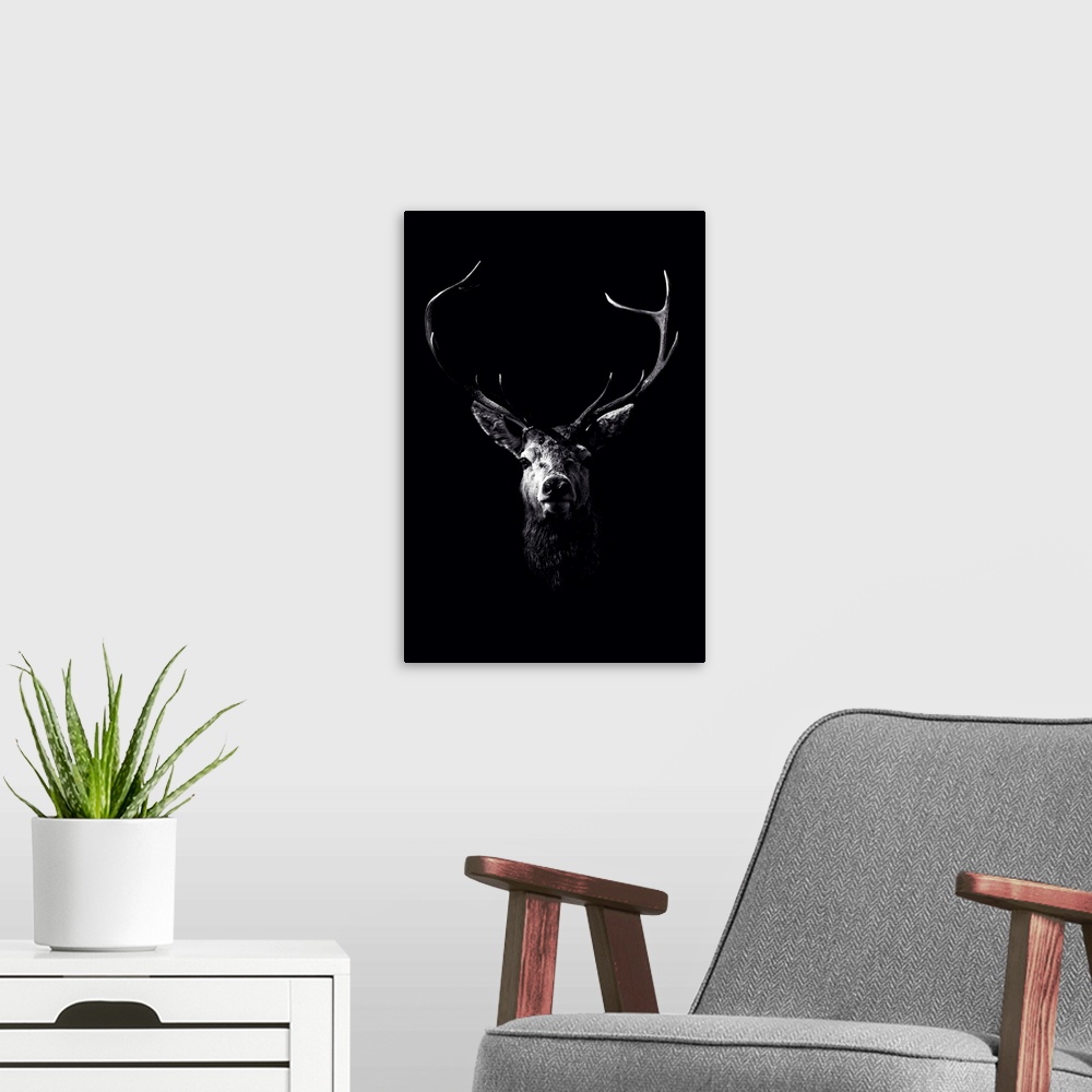 A modern room featuring Dark Deer