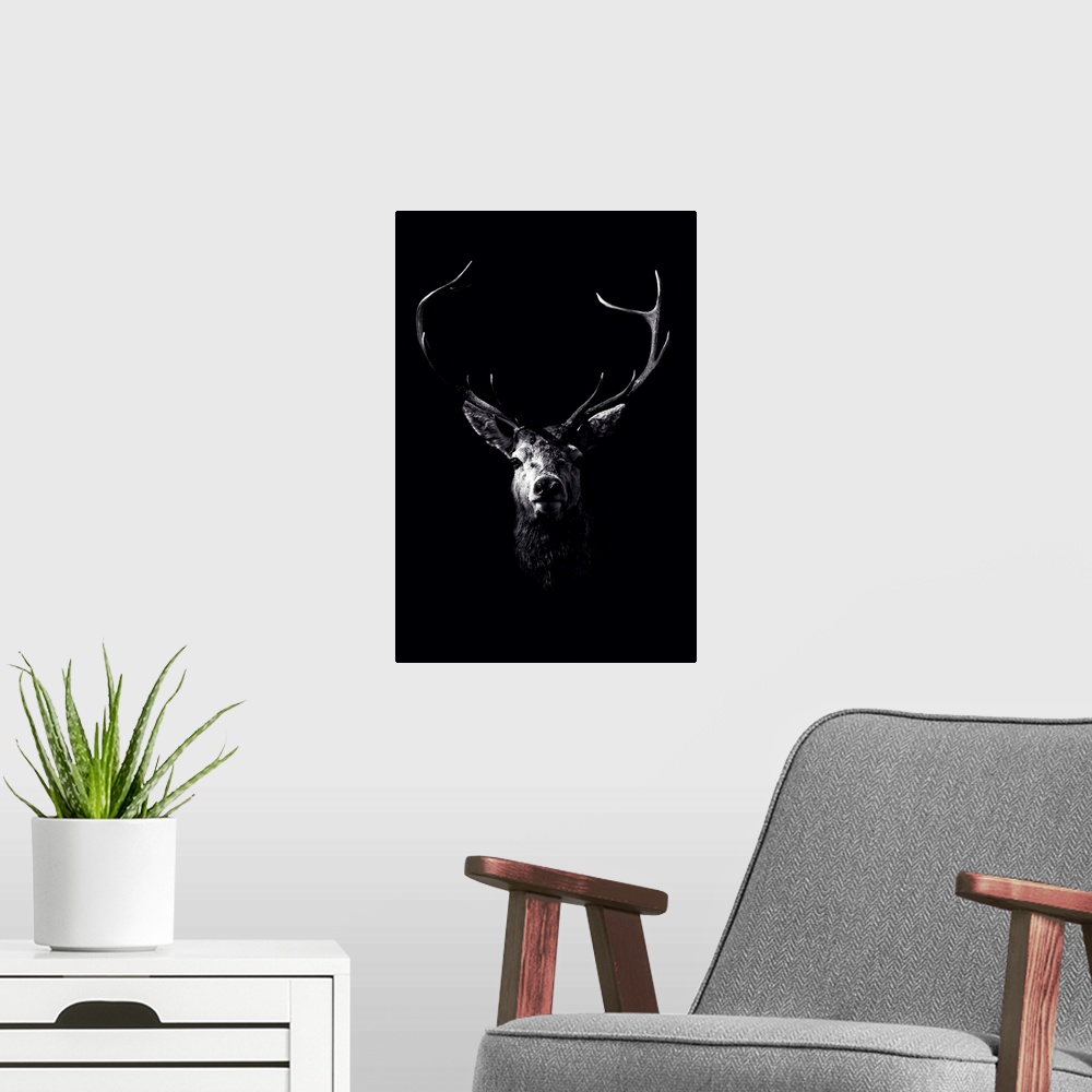 A modern room featuring Dark Deer