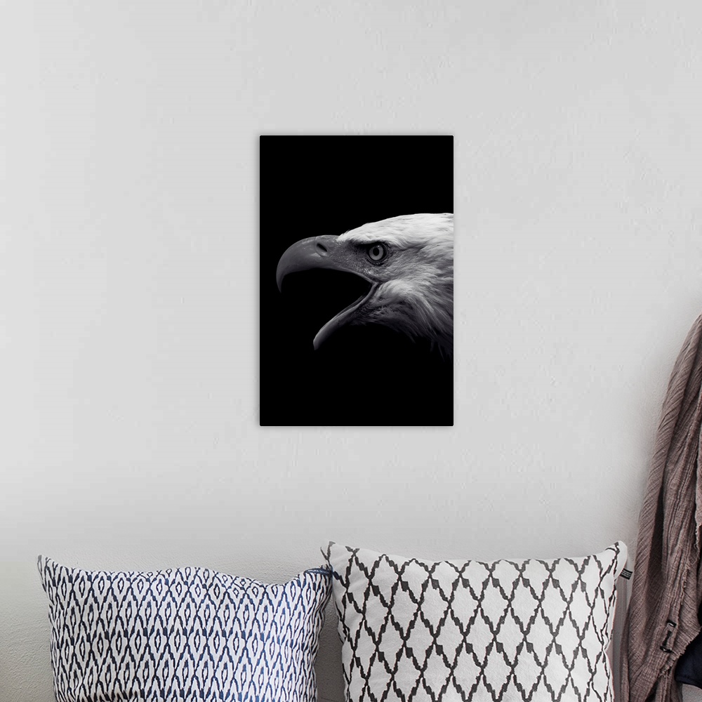 A bohemian room featuring Dark Eagle