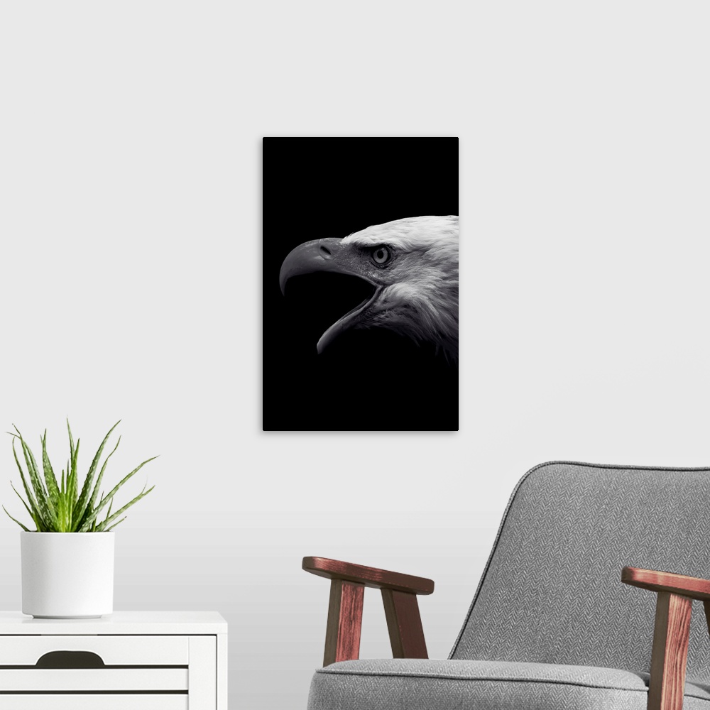 A modern room featuring Dark Eagle