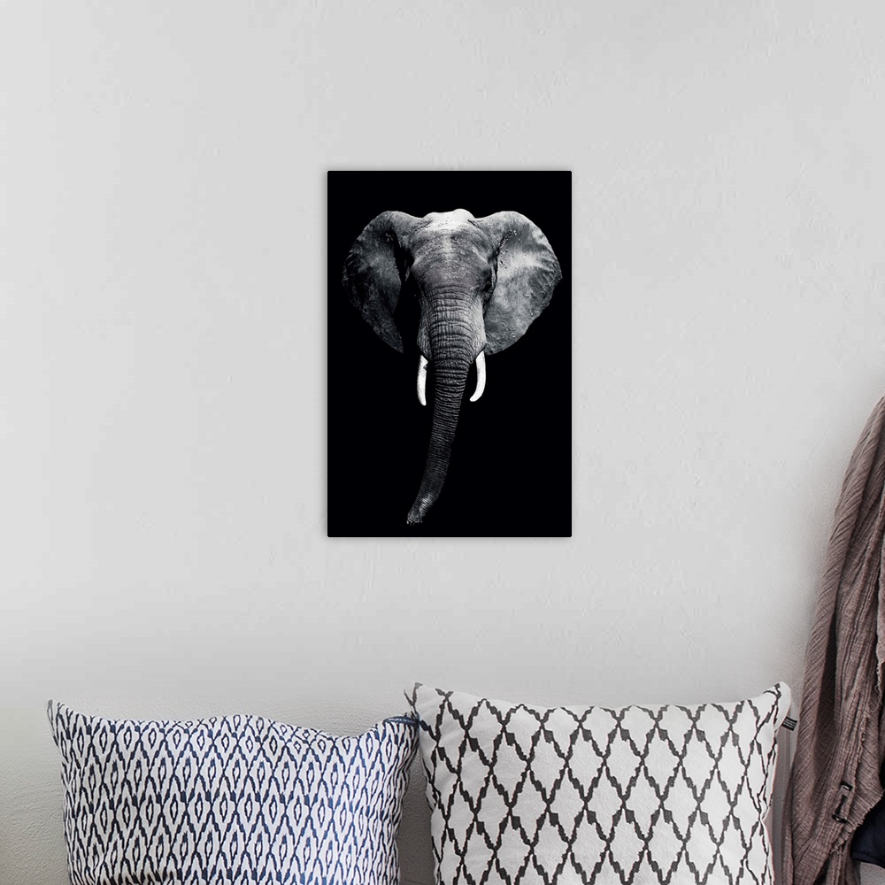 A bohemian room featuring Dark Elephant