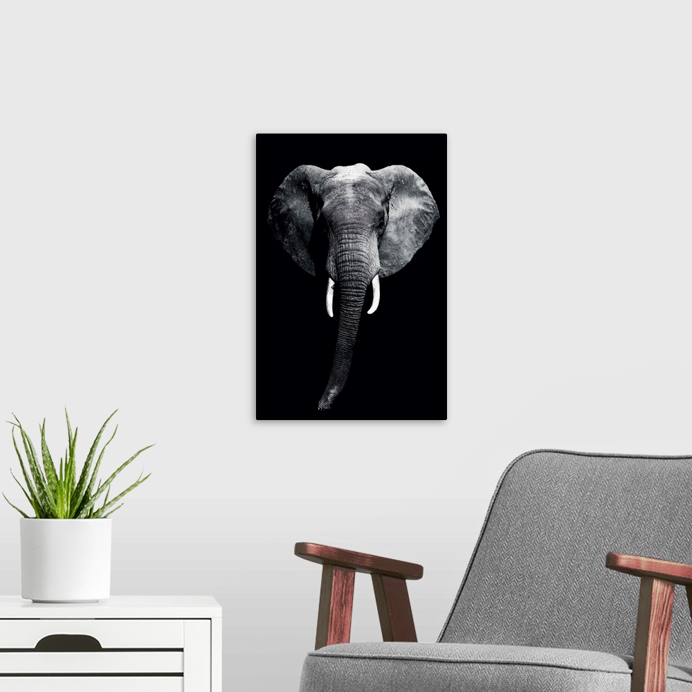 A modern room featuring Dark Elephant