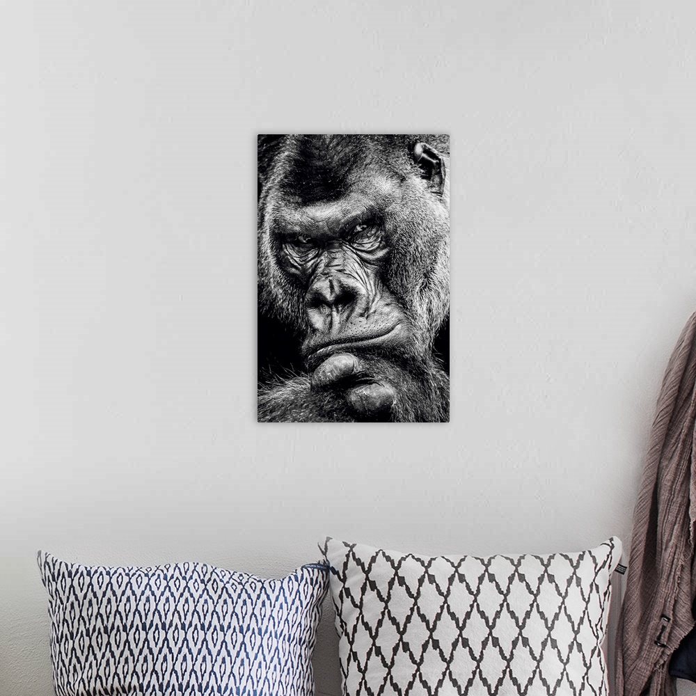A bohemian room featuring Dark Gorilla