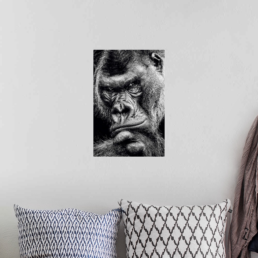 A bohemian room featuring Dark Gorilla