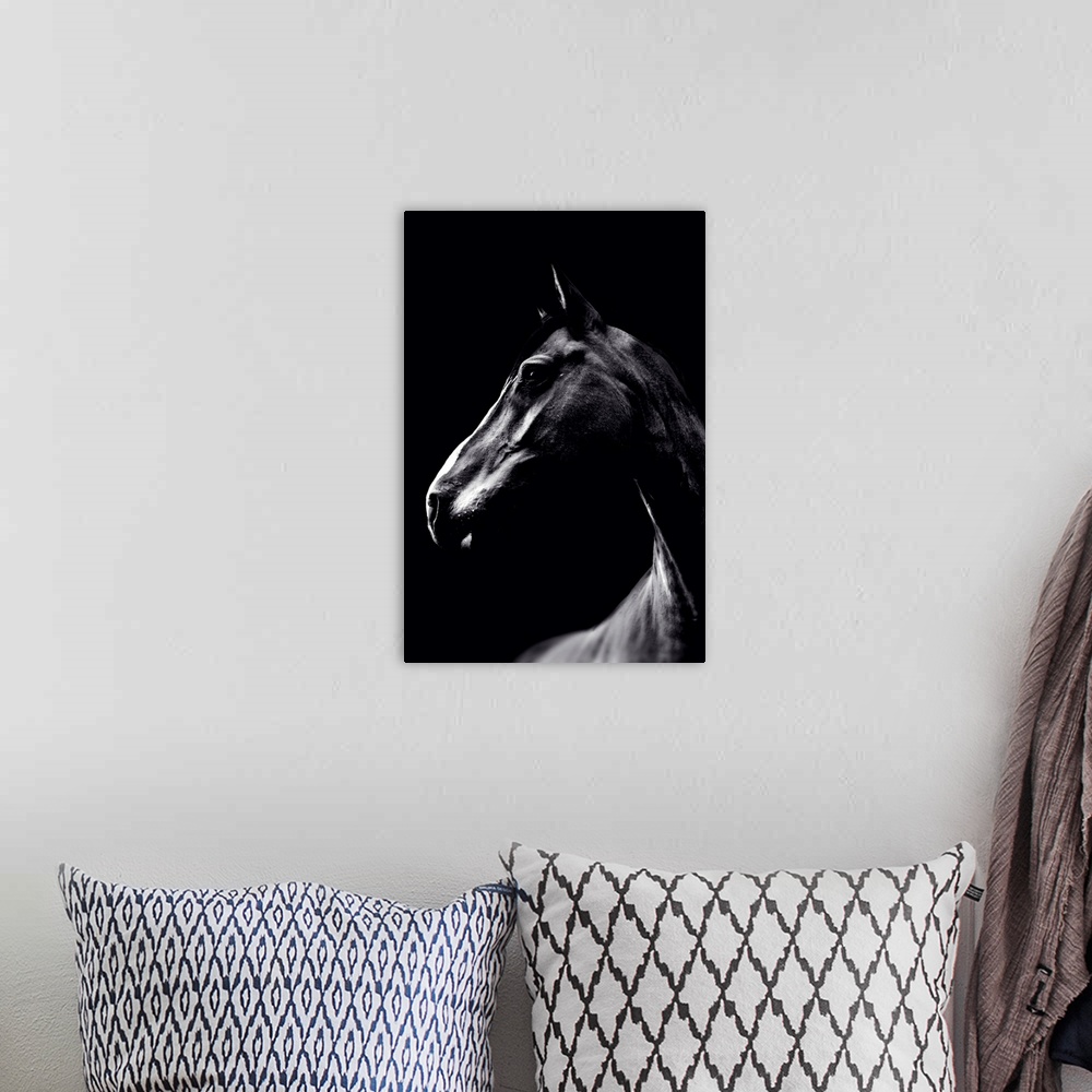 A bohemian room featuring Dark Horse